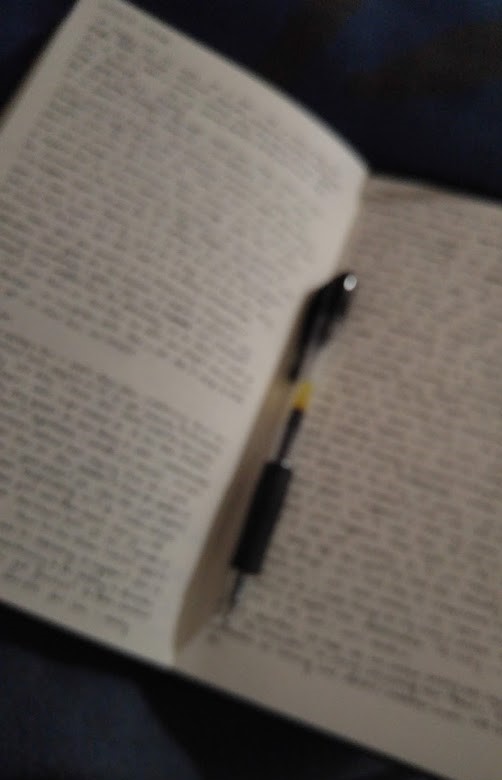 open journal with pen and lots of writing, blurred